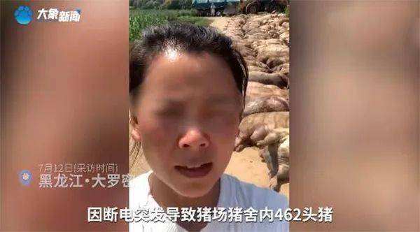 普京称瓦格纳事件后俄罗斯人民空前团结！感谢上合组织成员国 