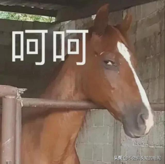 八卦新闻图(最新八卦大爆料，每一条八卦都不是空穴来风，吃瓜不信瓜1019)
