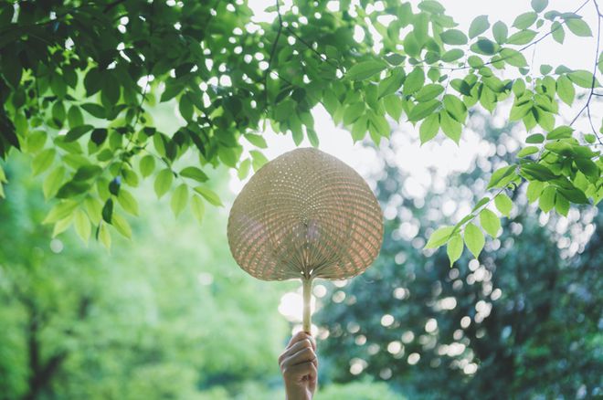 一日禅：想开就是晴天