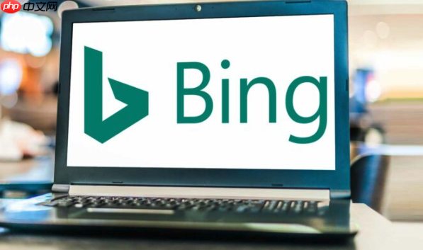 Bing浏览器国际服最新版下载-Bing国际版浏览器官方正版安装地址