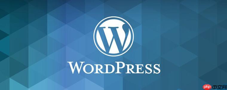 WordPress小工具是什么？怎样使用和调整小工具？(小工具,调整,WordPress.....)