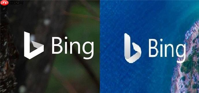 如何优化bing浏览器在线搜索 bing搜索引擎全球检索功能详解
