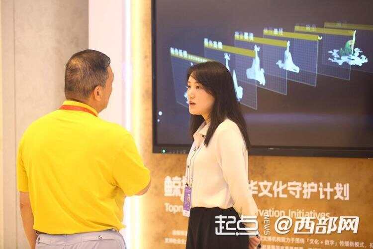 组图|数字之光、穿越千年 世界互联网大会文化遗产数字化精品展开展