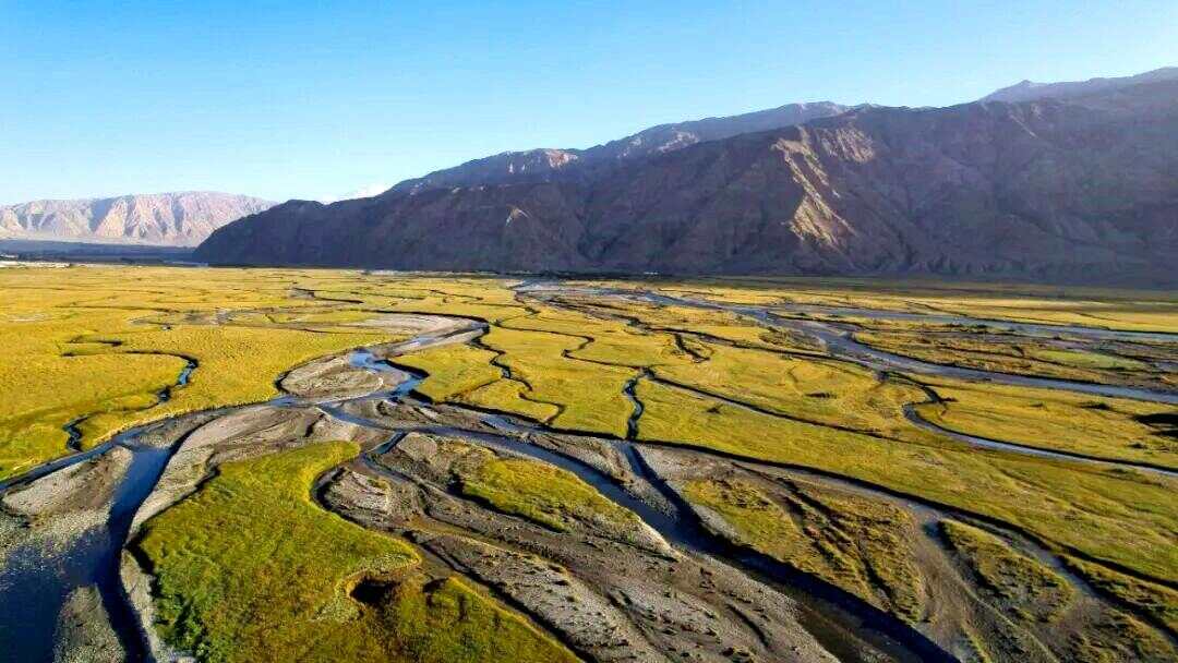 新疆塔什库尔干县:守护高原金草滩 湿地为卷写新篇