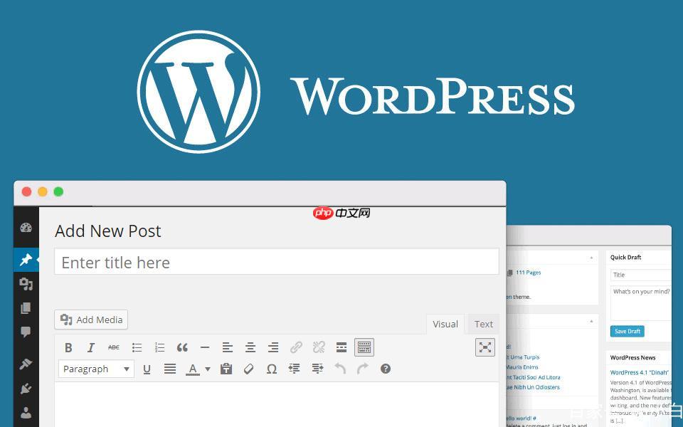 什么是WordPress AMP？如何启用AMP功能？(启用,功能,WordPress,AMP.....)