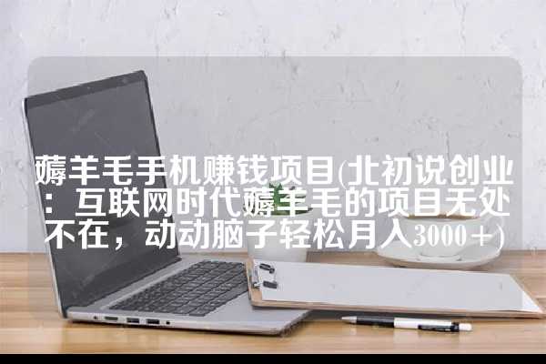 薅羊毛手机赚钱项目(北初说创业：互联网时代薅羊毛的项目无处不在，动动脑子轻松月入3000+)