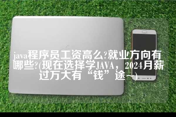 java程序员工资高么?就业方向有哪些?(现在选择学JAVA，2024月薪过万大有“钱”途~)