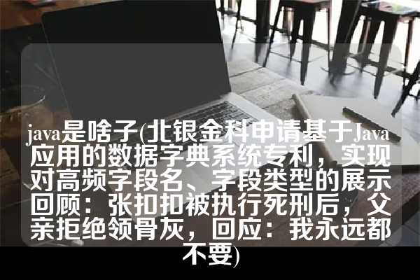 java是啥子(北银金科申请基于Java应用的数据字典系统专利，实现对高频字段名、字段类型的展示回顾：张扣扣被执行死刑后，父亲拒绝领骨灰，回应：我永远都不要)