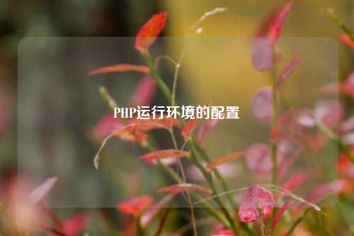 PHP运行环境的配置